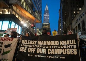 Essay on Immigration Law and Student Activism (Opinion)