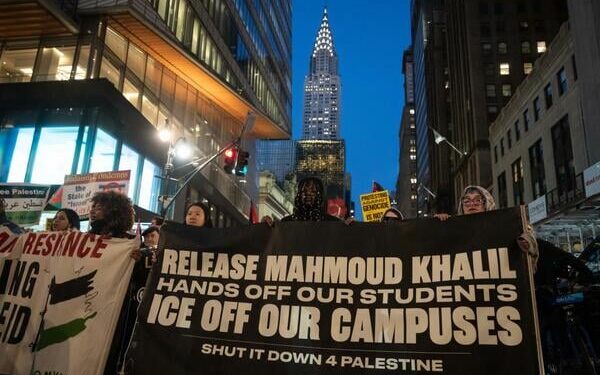 Essay on Immigration Law and Student Activism (Opinion)