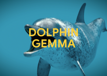 How AI can decipher dolphin communication