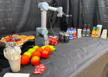 Robotic system zeroes in on objects most relevant for helping humans | MIT News