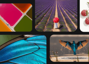 Fuel your creativity with new generative media models and tools