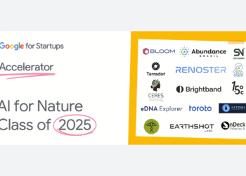 Meet the Google for Startups Accelerator: AI for Nature cohort